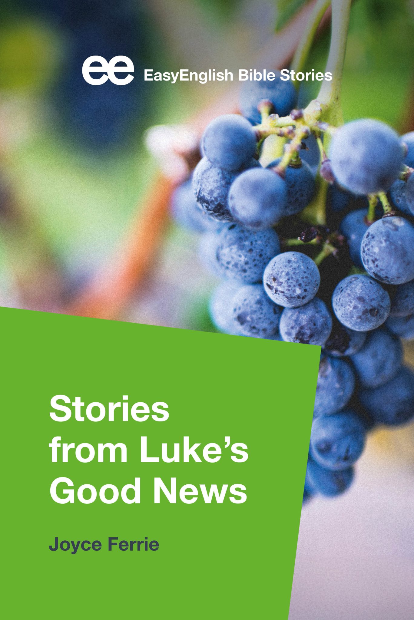 EasyEnglish Bible | Stories from Luke’s Good News